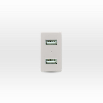 Módulo USB 2 puertos 5V C.C. 2.1A beige