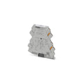 Mini duplicador de alimentacion  mcr-2-rpss-i-2i-pt 290562994 Phoenix Contact - Miniatura 1