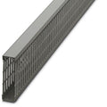 CANALETA RAN/GRIS 30AN X 100AL xTIRA/2M 324028394 Phoenix Contact - Miniatura 1
