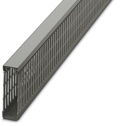 CANALETA RAN/GRIS 30AN X 100AL xTIRA/2M 324028394 Phoenix Contact