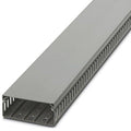 CANALETA RAN/GRIS 40AN X 100AL xTIRA/2M 324029494 Phoenix Contact - Miniatura 1