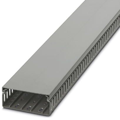 CANALETA RAN/GRIS 40AN X 100AL xTIRA/2M 324029494 Phoenix Contact
