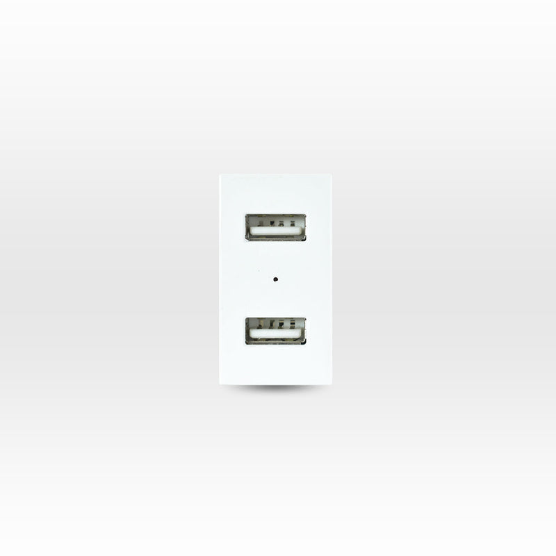 Módulo USB 2 puertos 5V C.C. 2.1A blanco