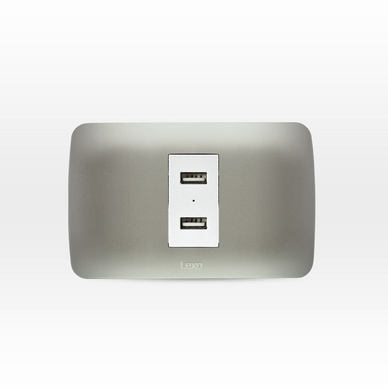 Toma USB 5V C.C. 2.1mA (Tipo A) blanco/plata armado