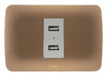 Toma USB 5V C.C. 2.4A beige/titanio armado - Miniatura 1