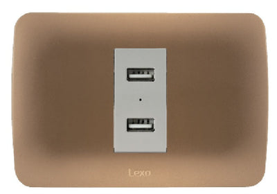 Toma USB 5V C.C. 2.4A beige/titanio armado