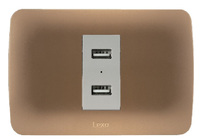 Toma USB 5V C.C. 2.4A beige/titanio armado