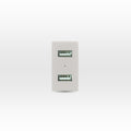 Módulo USB 2 puertos 5V C.C. 2.1A beige - Miniatura 1