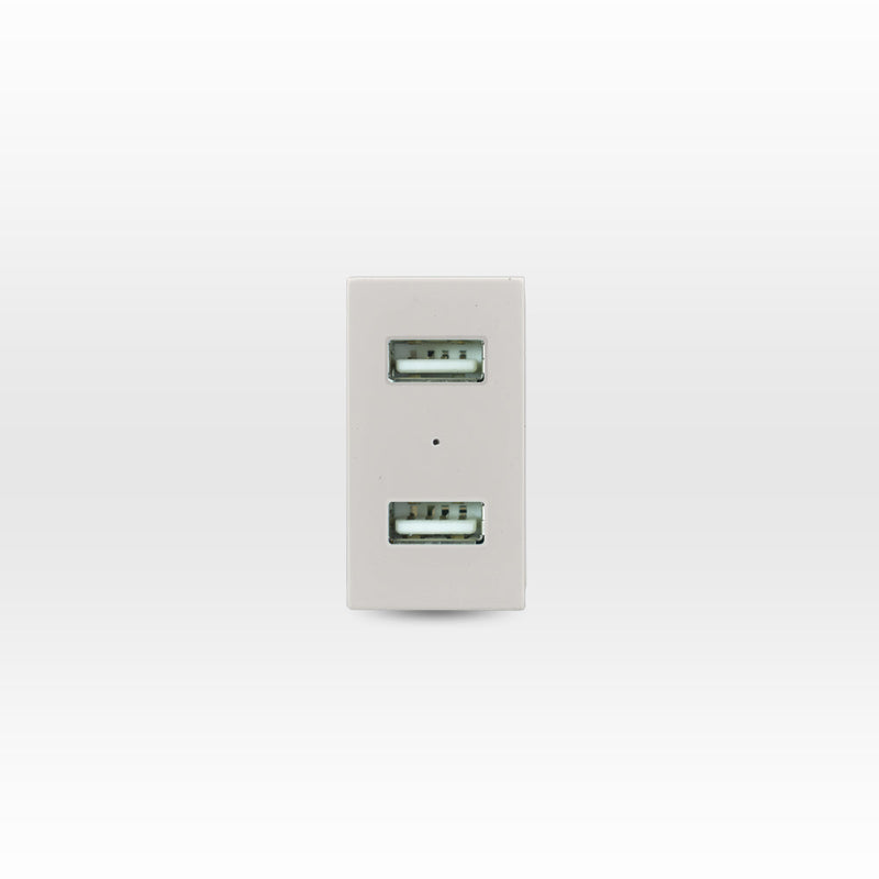 Módulo USB 2 puertos 5V C.C. 2.1A beige