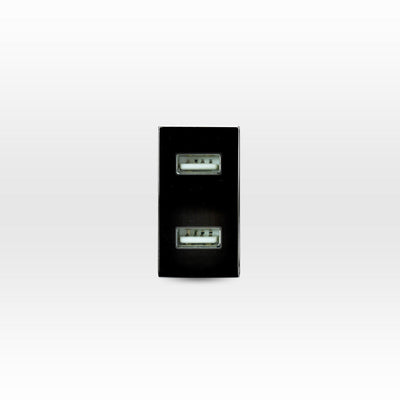 Módulo USB 2 puertos 5V C.C. 2.1A café