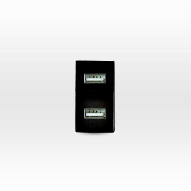 Módulo USB 2 puertos 5V C.C. 2.1A café